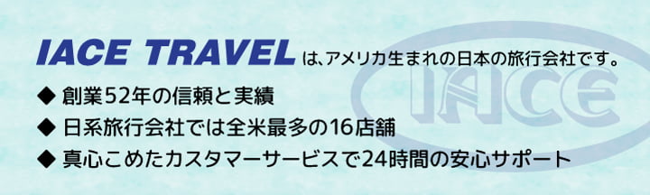 IACEについて