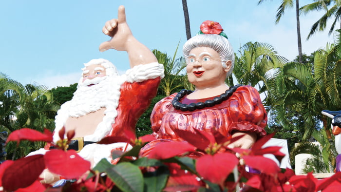 hawaii_holiday3