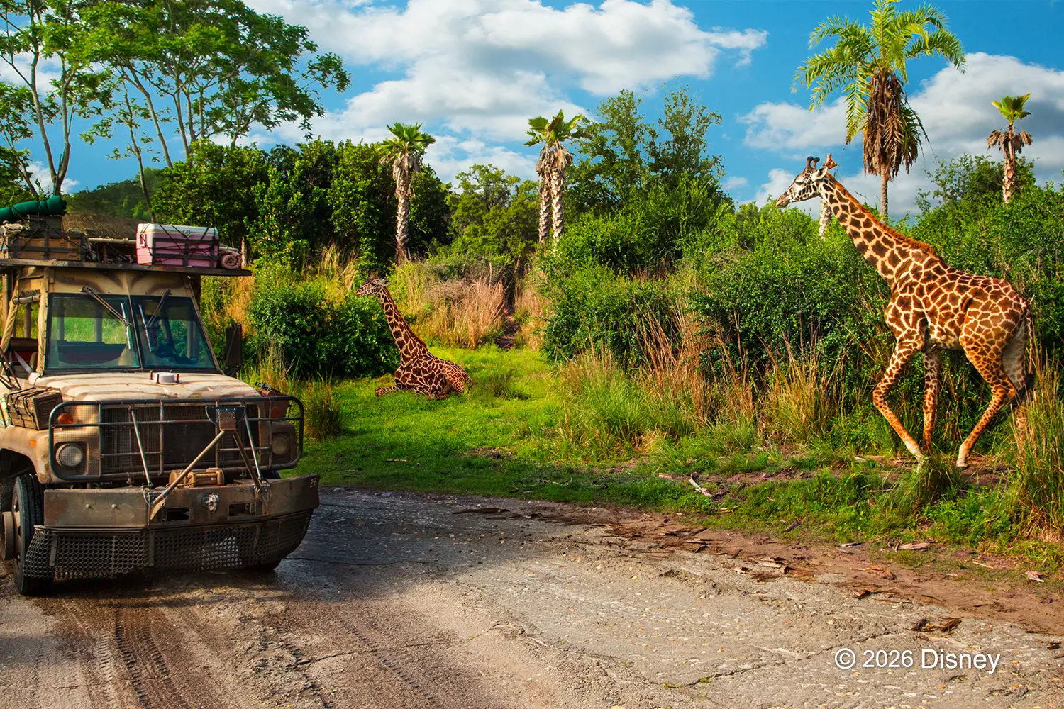 AK_kilimanjaro-safari©︎